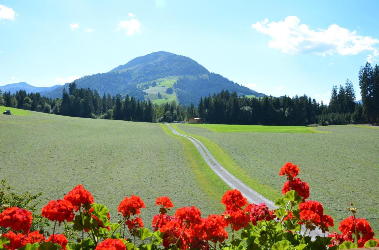 Pension Woetzinghof Kirchberg in Tirol Exterior photo